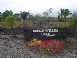 Bougainvilla Bed and Breakfast