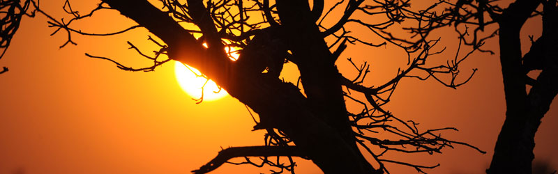 Parc de Limpopo Mozambique, Limpopo Transfrontier Park South Africa
