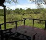 Gomo Gomo Lodge Timbavati South Africa Kruger Park
