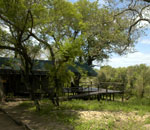 Gomo Gomo Lodge Timbavati South Africa Kruger Park