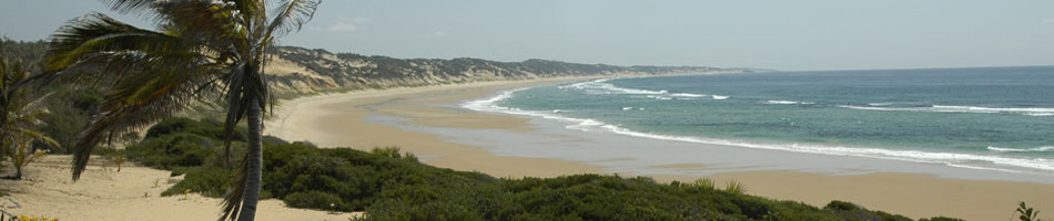 Cocnut bay Beach Guinjata