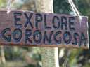 explore Gorongosa Mozambique