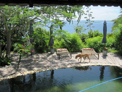 Libelula Diving Mozambique