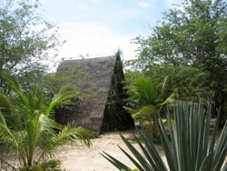 Libelula Diving Mozambique