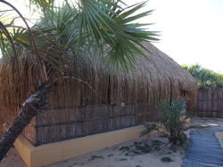 Mango Beach Lodge Mozambique