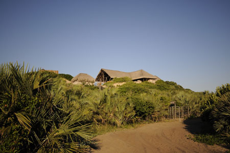 Mango Beach, Tofo near Inhambane, Mozambique