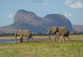 Niassa Lugenda Safari  Mozambique