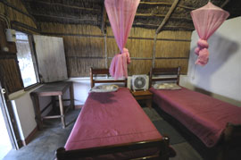 tofo budget accommodation