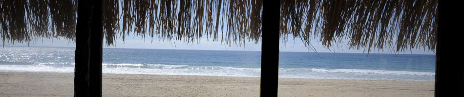 Palm Grove accommodation