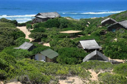 Paradise Magoo Mozambique