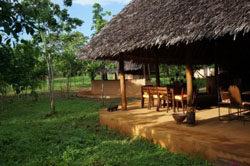 Pemba Arti Lodge Mozambique