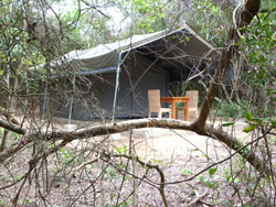 Nkumbe Wildlife Estate