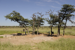 Kalahari Bush Camping