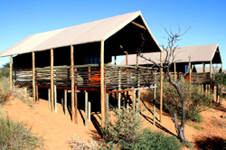 Suricate Tented Lodge Namibia