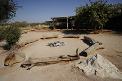 Andersons Camp Namibia