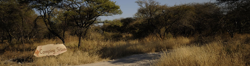 Etosha Onguma Camping Namibia - safaris