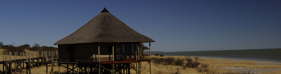 onkoshi lodge etosha Holiday to Namibia - south west Africa safaris