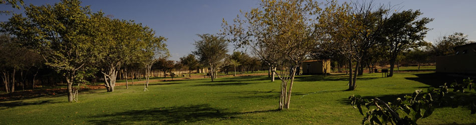 etosha camping namibia