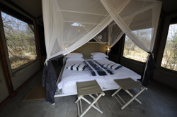 Mushara Bush Camp Namibia