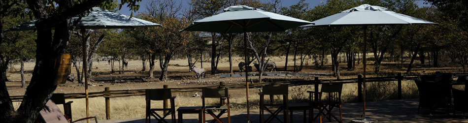 Namibia - etosha ongava tented camp