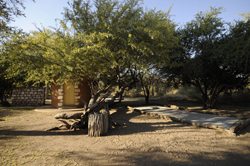 Onguma Camping Namibia