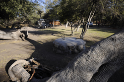 Onguma Camping Namibia