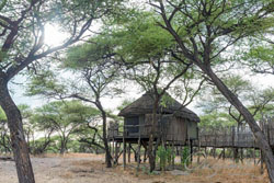 Onguma Tree Top Camp