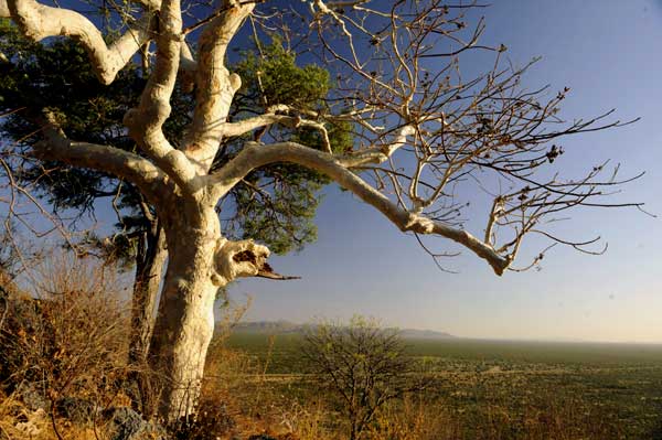 Explore the wonderful landscape of Damaraland