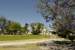 Kalkfontein Guest Farm