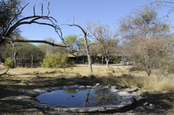 Roy's Camp Grootfontein