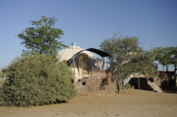 Quiver Tree Forest Camp Namibia