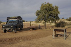 Quivertree Forest Camping site Namibia