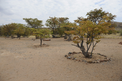 Tsubes Restcamp Namibia