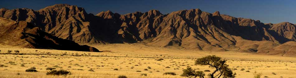 information about Solitaire namibia