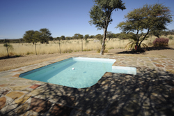 1000 Olives Guesthouse Namibia
