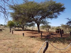 Panama Kalahari Guest Farm Kalkrand
