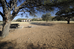Hammerstein Lodge Camping Namibia