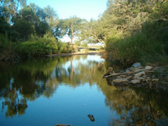 Tsauchab River Camp Namibia
