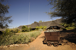 !Uris Safari Lodge Namibia