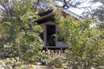 tsumeb lodge accommodation