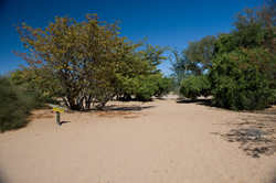 Aba Huab Camp Namibia
