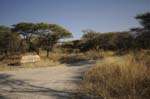 onguma_camping_01
