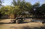 onguma_camping_02