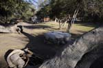 onguma_camping_05