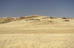 rostock_ritz_14