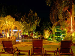 Alona Palm Resort