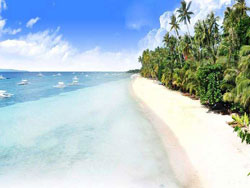 Alona Tropical Beach Resort