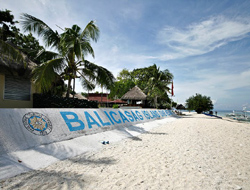 Balicasag Island Dive Resort Bohol