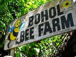 Bohol Bee Farm Hotel Bohol