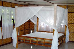 Coco White Beach Resort Bohol